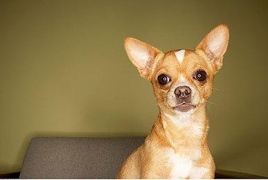 40人平台格斗大逃杀《字节破坏者》面向PC公布